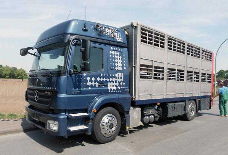 Прицеп для перевозки крупного рогатого скота из Краснознаменки в Барнаул